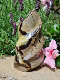 Septarie - Vlam - 12cm