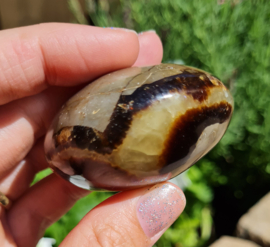 Septarie Handsteen - Natuurlijke Aardetinten - no.6 - 5,5cm