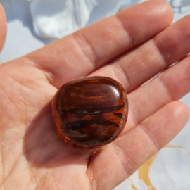 Versteend Hout - no.11 - 3cm - Palmsteen