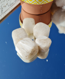 Scolesiet Trommelsteen