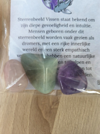 Vissen Sterrenbeeld Trommelstenen Cadeau set
