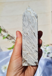 Crazy Lace Agaat - Punt - 12 cm