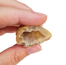 Agaat Geode Druzy Brazilië no.31 - 4 cm