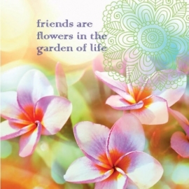 Dubbele kaart - friends are flowers - 14 x 14 cm