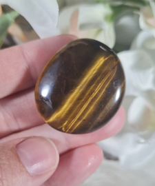 Tijgeroog Platte Steen no.6 - 3,5 cm Edelsteen