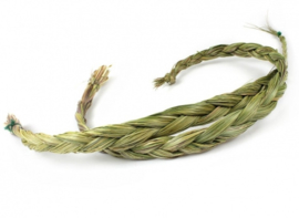 Sweetgrass - 44 cm