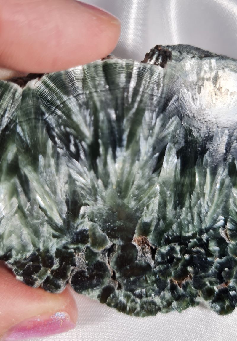 Serafiniet Schijf 10,5 cm no.5