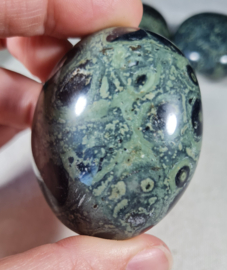 Kambaba Jaspis Handsteen Edelsteen no.3 - 5,5 cm