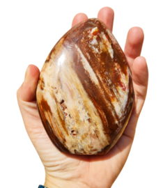 Versteend Hout - Sculptuur - Madagaskar - 12 cm