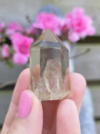 Citrien Punt - diverse soorten Madagaskar - Natuurlijk