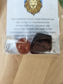Leeuw Sterrenbeeld Trommelstenen Cadeau set