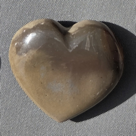 Polychroom Jaspis - Hart