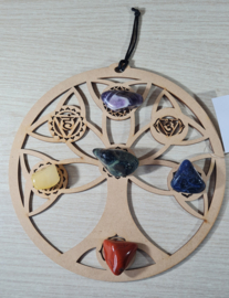 Grid of Raamhanger Levensboom ( Tree of Life ) - 20 cm