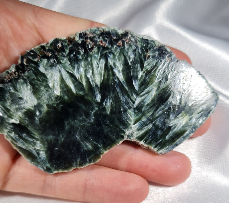 Serafiniet Schijf 9 cm no.6