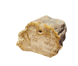 Versteend hout - Java - no.2