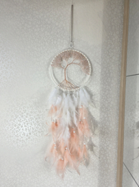 Dromenvanger Levensboom Rozenkwarts Roze 16 cm