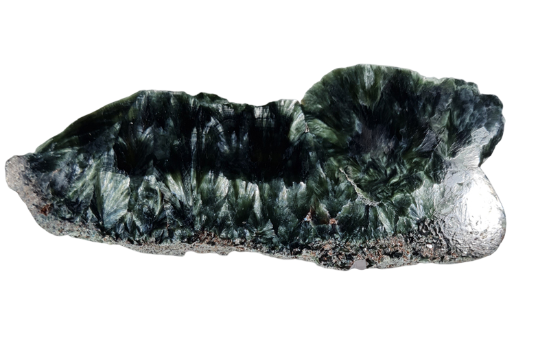 Serafiniet Schijf  11,5 cm no.8