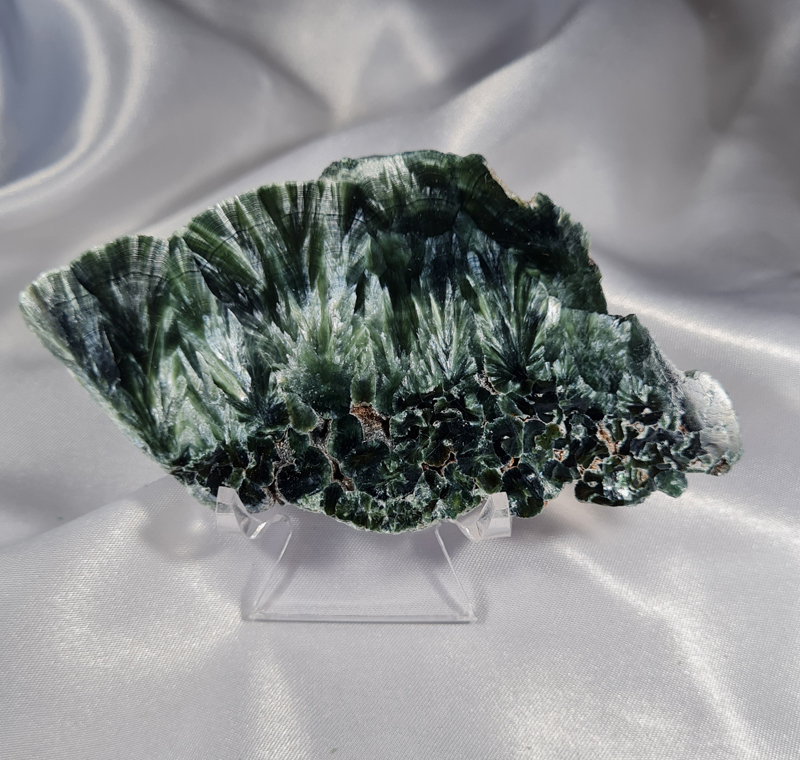 Serafiniet Schijf 10,5 cm no.5