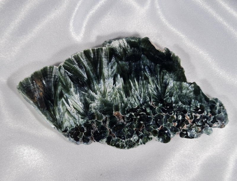 Serafiniet Schijf 10,5 cm no.5