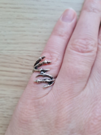 Ring Klauwen