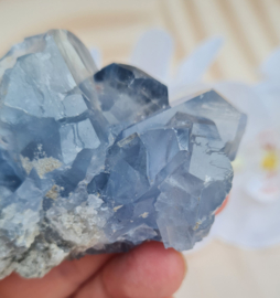 Celestien Edelsteen Geode - Madagaskar - 7 cm - Blauw