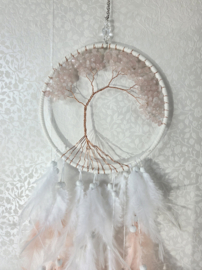 Dromenvanger Levensboom Rozenkwarts Roze 16 cm