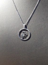 Sieraden Set Klavertje Vier - ketting met oorbellen - RVS