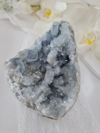 Celestien Cluster Geode - 10cm - Blauw