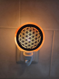 Himalaya Zoutlamp nachtlampje Levensbloem 11,5 cm