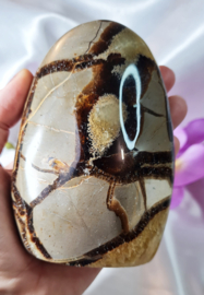 Septarie - Sculptuur - no.1 - 11,5 cm