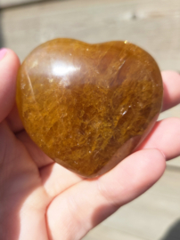 Golden Healer - Limoniet Hart diverse soorten