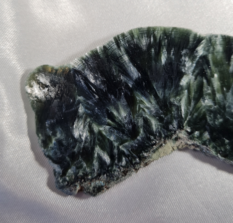 Serafiniet Schijf 12,5 cm no.3