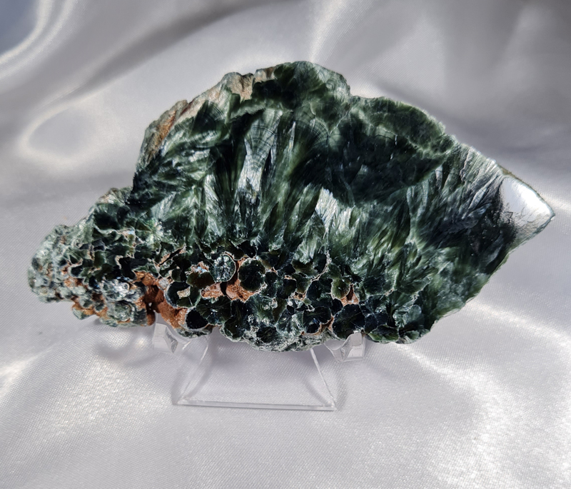 Serafiniet Schijf 10,5 cm no.5