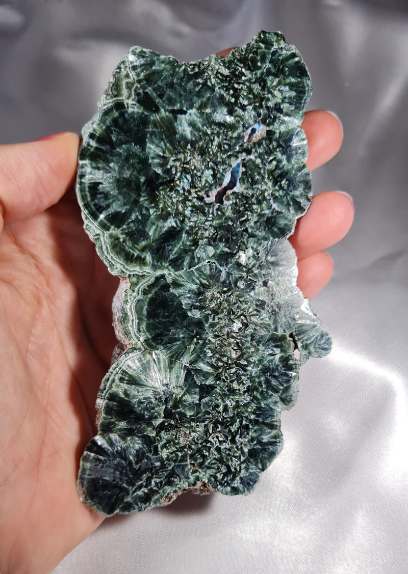 Serafiniet Schijf 13,5 cm no.1