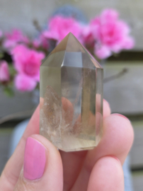 Citrien Punt - diverse soorten Madagaskar - Natuurlijk