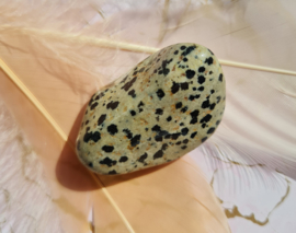 Dalmatiër Jaspis - Trommelsteen - no.1 - L - 4,5 cm