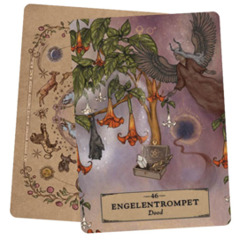 Kruiden Astrologie Orakel - Adriana Ayales