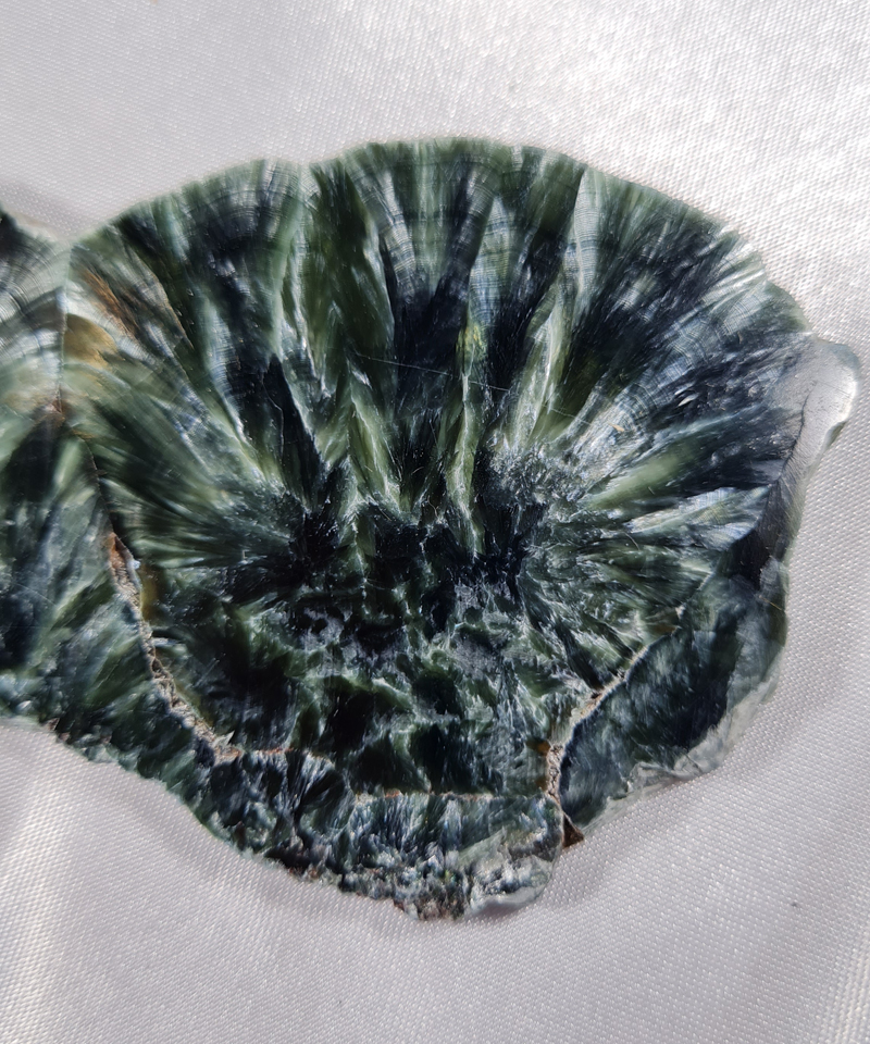 Serafiniet Schijf 12,5 cm no.3