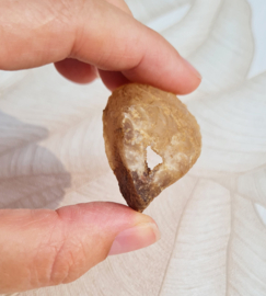 Agaat Geode Druzy Brazilië no.29 - 4,5 cm