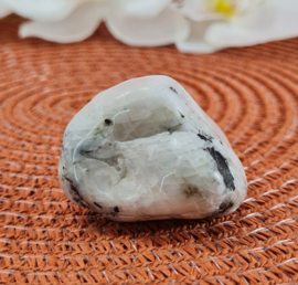 Witte Maansteen - Palmsteen - no.3 - 4,2cm