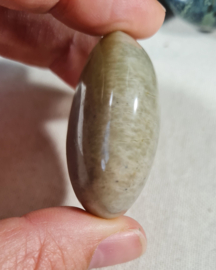 Groene Maansteen Edelsteen Palmsteen - no.12 - 4 cm