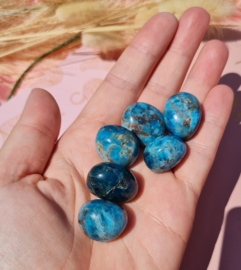 Apatite Tumbled Stone Round - Blue - 2 cm