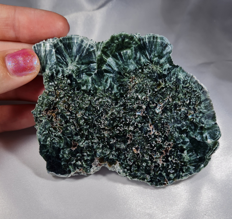 Serafiniet Schijf 10 cm no.2