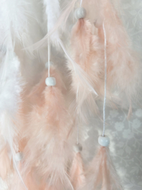 Dromenvanger Levensboom Rozenkwarts Roze 16 cm