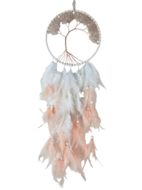 Dromenvanger Levensboom Rozenkwarts Roze 16 cm