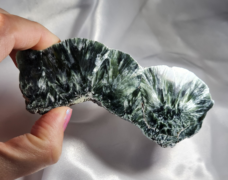 Serafiniet Schijf 12,5 cm no.3