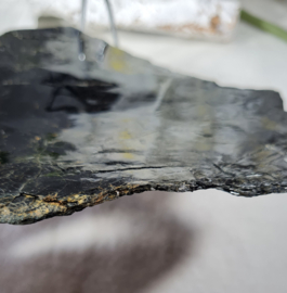 Biotiet schijf 17 cm