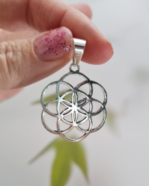 Hanger Levenszaad - Seed of life - Zilverkleur