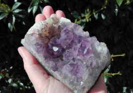 Amethyst Crystal Cluster - Purple - 10 cm