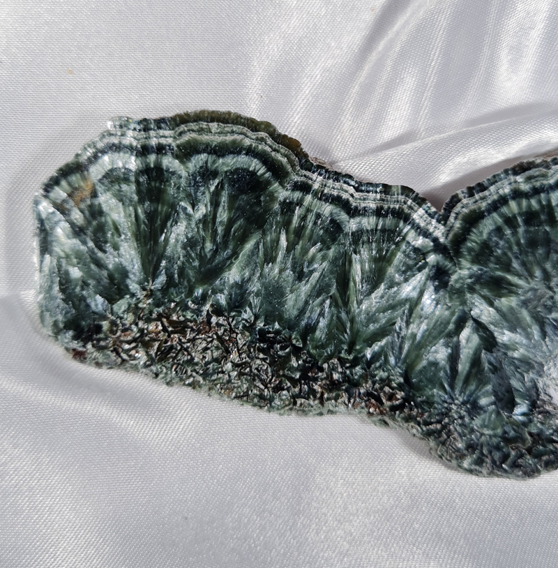 Serafiniet Schijf 11,5 cm no.4